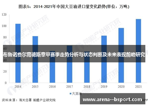 布鲁诺费尔南德斯意甲赛季走势分析与状态判断及未来表现前瞻研究 布鲁诺费尔南德斯意甲赛季走势分析与状态判断及未来表现前瞻研究
