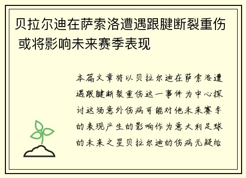 贝拉尔迪在萨索洛遭遇跟腱断裂重伤 或将影响未来赛季表现 贝拉尔迪在萨索洛遭遇跟腱断裂重伤 或将影响未来赛季表现
