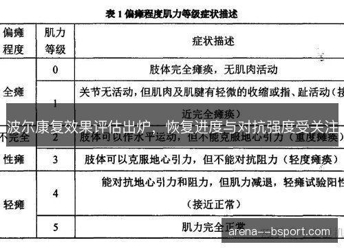 波尔康复效果评估出炉，恢复进度与对抗强度受关注